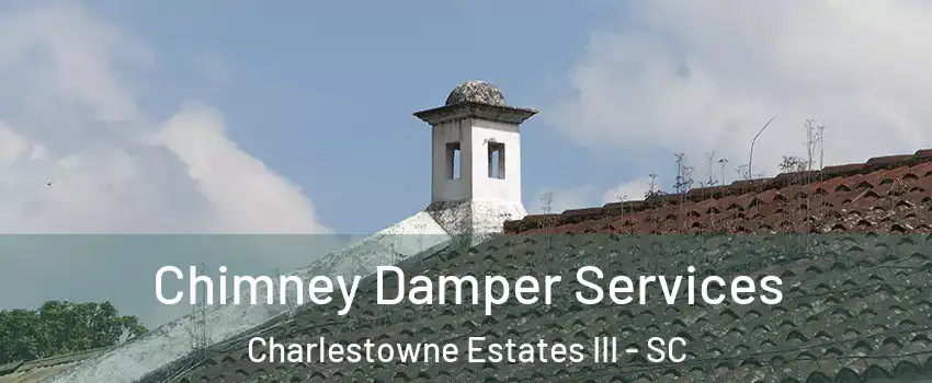 Chimney Damper Services Charlestowne Estates III - SC