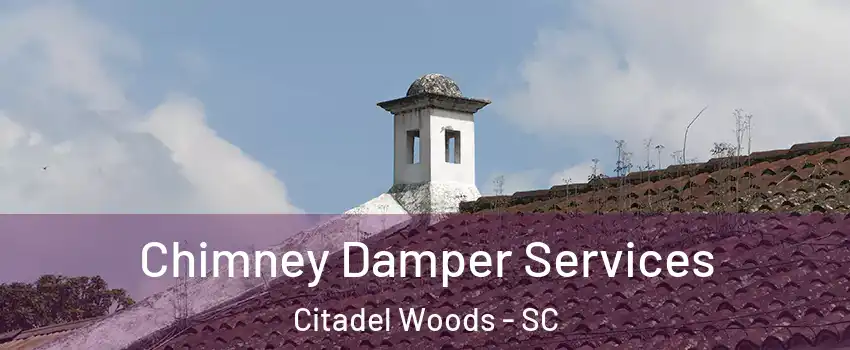 Chimney Damper Services Citadel Woods - SC