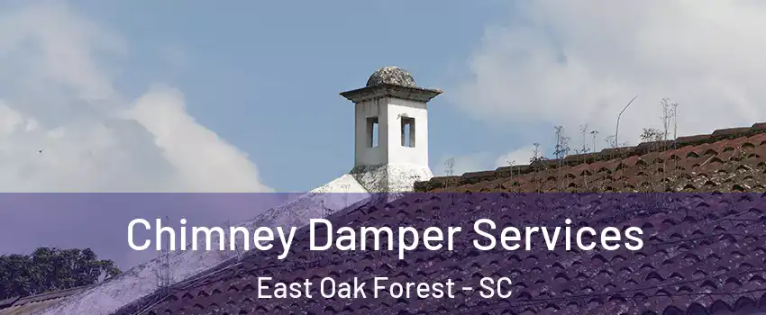 Chimney Damper Services East Oak Forest - SC