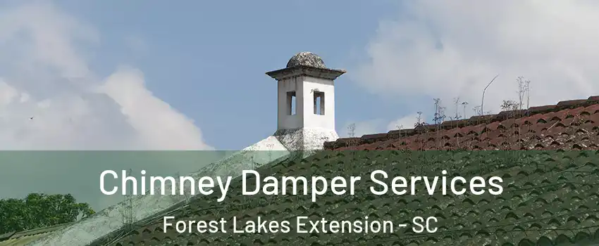 Chimney Damper Services Forest Lakes Extension - SC