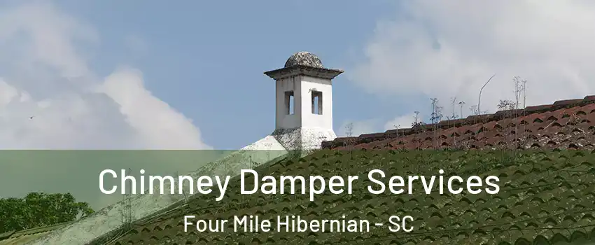 Chimney Damper Services Four Mile Hibernian - SC