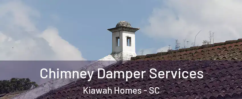 Chimney Damper Services Kiawah Homes - SC