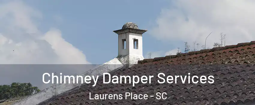 Chimney Damper Services Laurens Place - SC