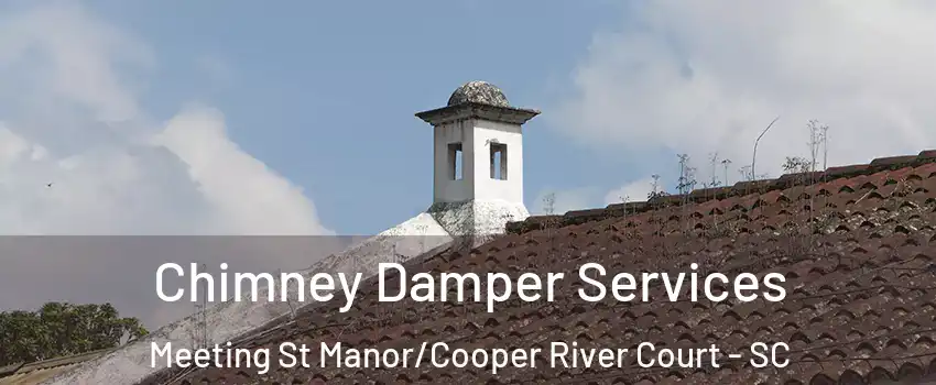 Chimney Damper Services Meeting St Manor/Cooper River Court - SC