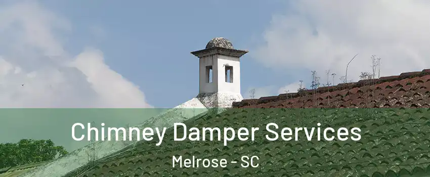 Chimney Damper Services Melrose - SC