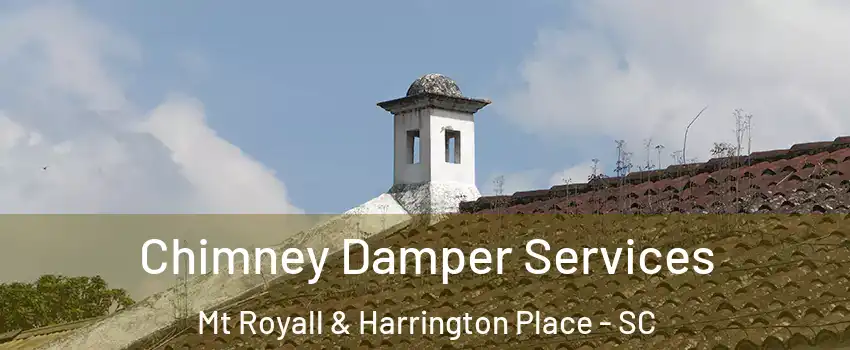 Chimney Damper Services Mt Royall & Harrington Place - SC