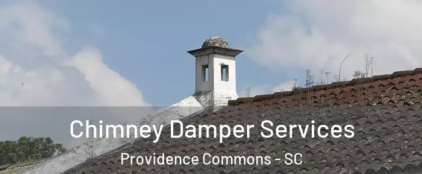 Chimney Damper Services Providence Commons - SC