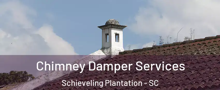 Chimney Damper Services Schieveling Plantation - SC