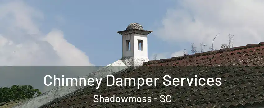 Chimney Damper Services Shadowmoss - SC