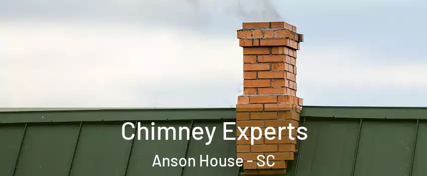 Chimney Experts Anson House - SC