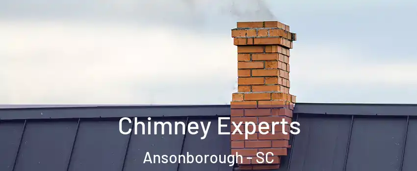 Chimney Experts Ansonborough - SC