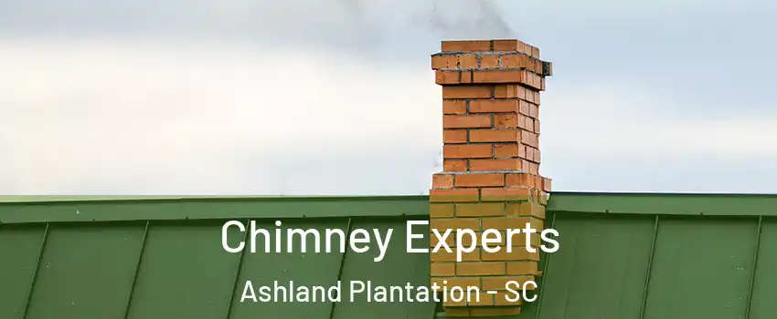 Chimney Experts Ashland Plantation - SC