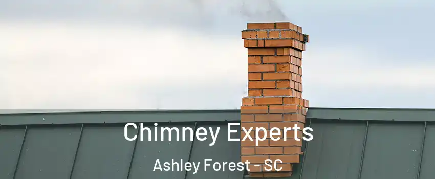 Chimney Experts Ashley Forest - SC