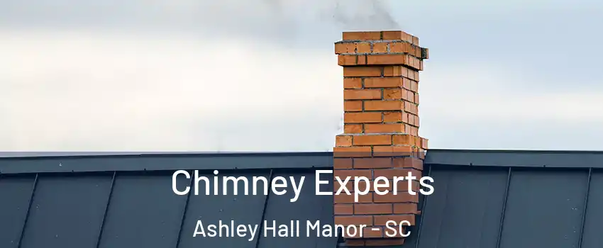 Chimney Experts Ashley Hall Manor - SC