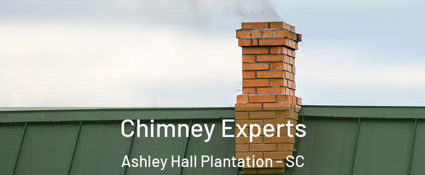 Chimney Experts Ashley Hall Plantation - SC