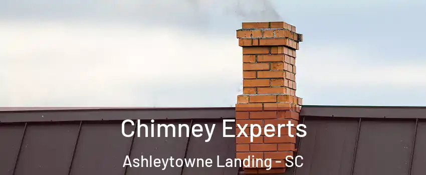 Chimney Experts Ashleytowne Landing - SC