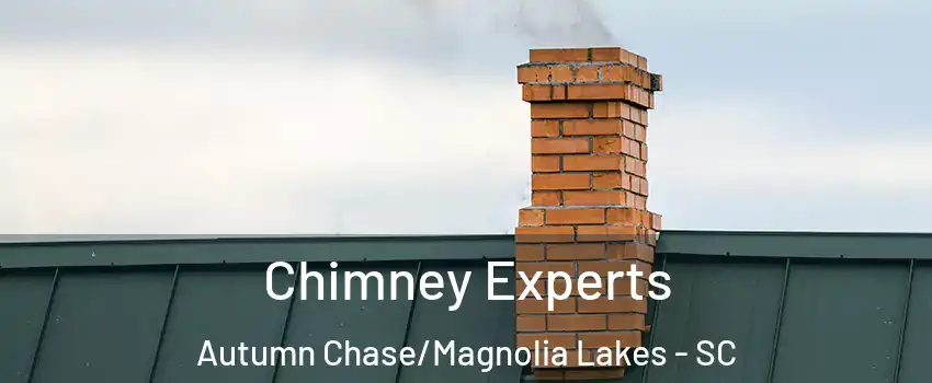 Chimney Experts Autumn Chase/Magnolia Lakes - SC