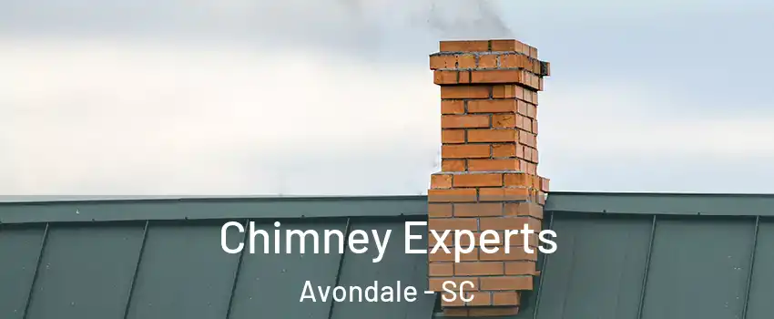 Chimney Experts Avondale - SC