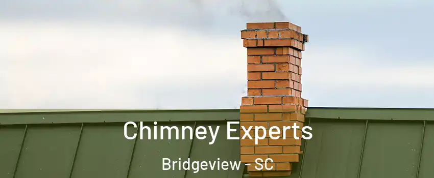 Chimney Experts Bridgeview - SC