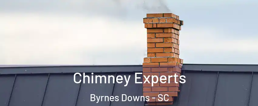 Chimney Experts Byrnes Downs - SC