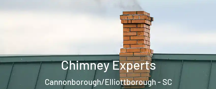 Chimney Experts Cannonborough/Elliottborough - SC