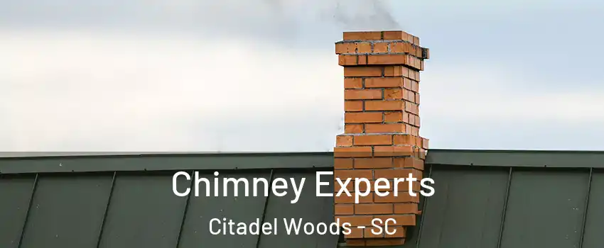 Chimney Experts Citadel Woods - SC