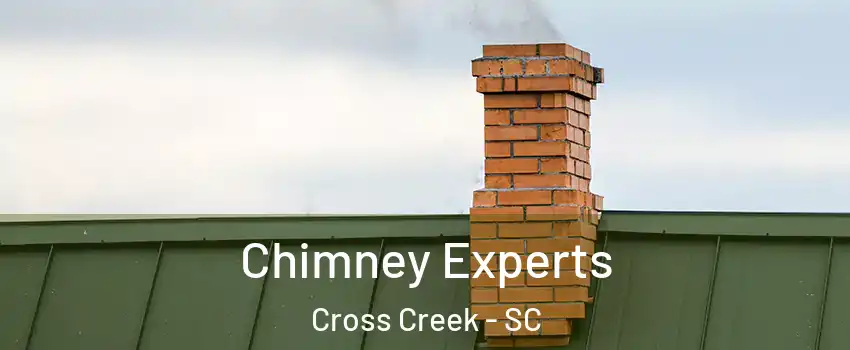 Chimney Experts Cross Creek - SC