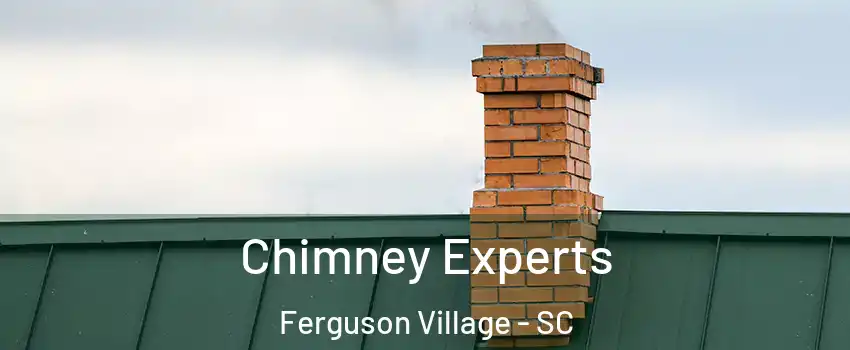 Chimney Experts Ferguson Village - SC