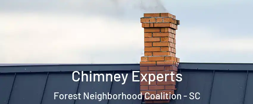 Chimney Experts Forest Neighborhood Coalition - SC