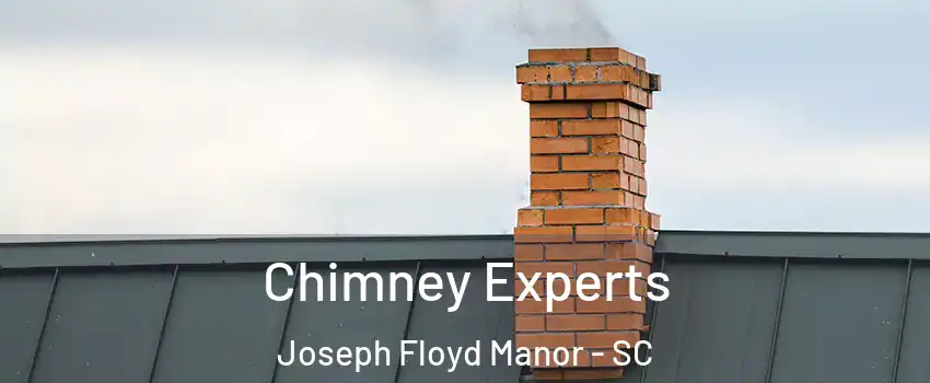 Chimney Experts Joseph Floyd Manor - SC