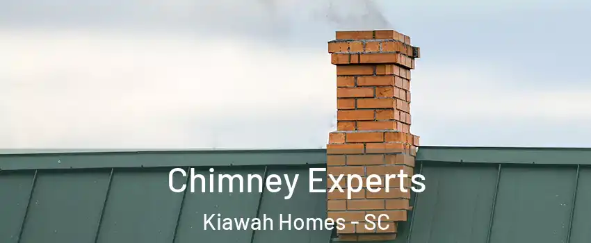 Chimney Experts Kiawah Homes - SC