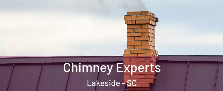 Chimney Experts Lakeside - SC