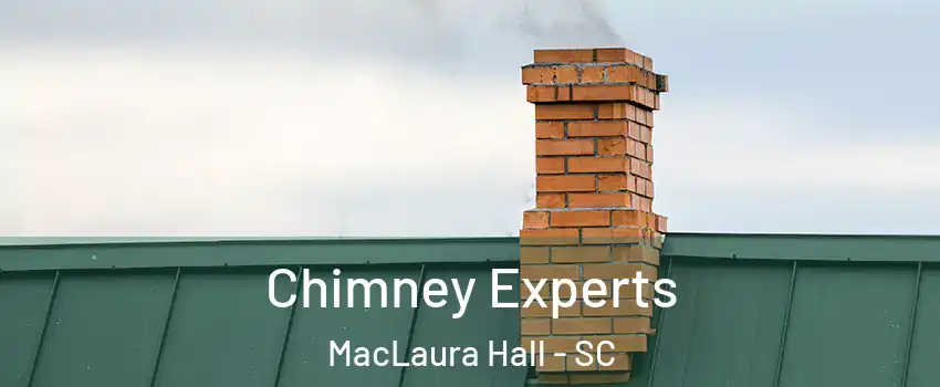 Chimney Experts MacLaura Hall - SC