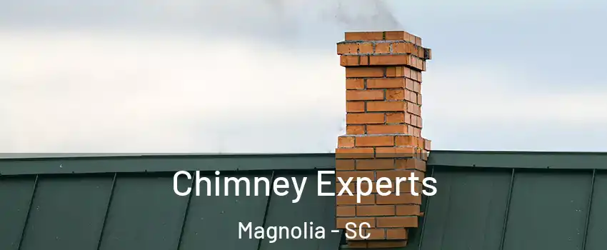 Chimney Experts Magnolia - SC