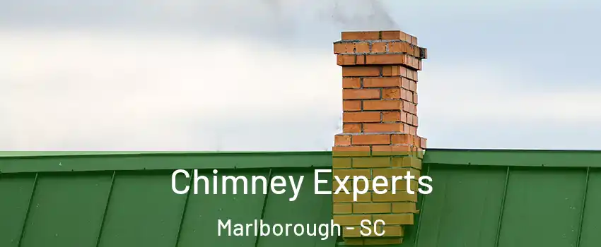 Chimney Experts Marlborough - SC