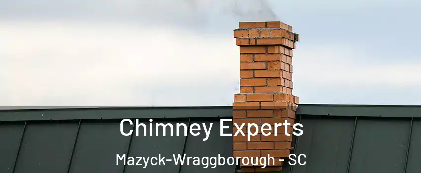 Chimney Experts Mazyck-Wraggborough - SC