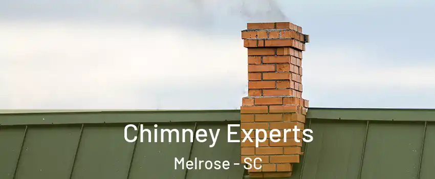 Chimney Experts Melrose - SC