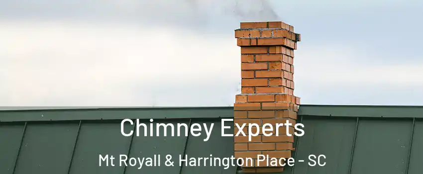 Chimney Experts Mt Royall & Harrington Place - SC