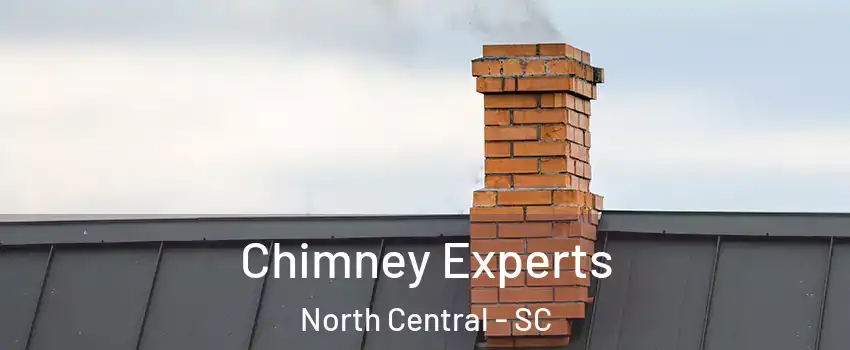 Chimney Experts North Central - SC