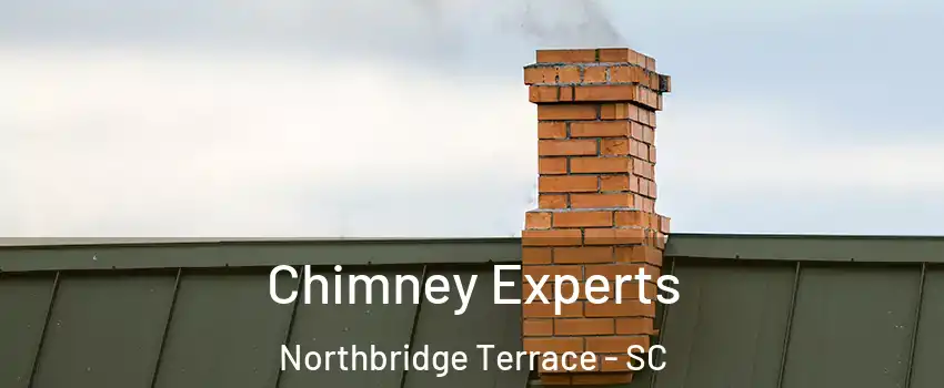 Chimney Experts Northbridge Terrace - SC