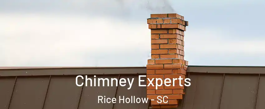 Chimney Experts Rice Hollow - SC