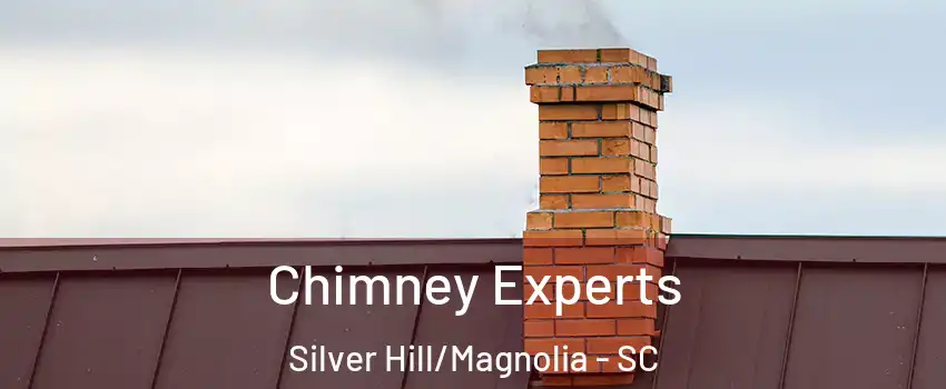 Chimney Experts Silver Hill/Magnolia - SC