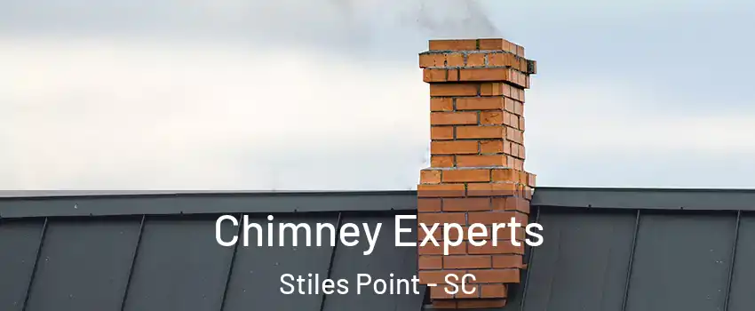 Chimney Experts Stiles Point - SC