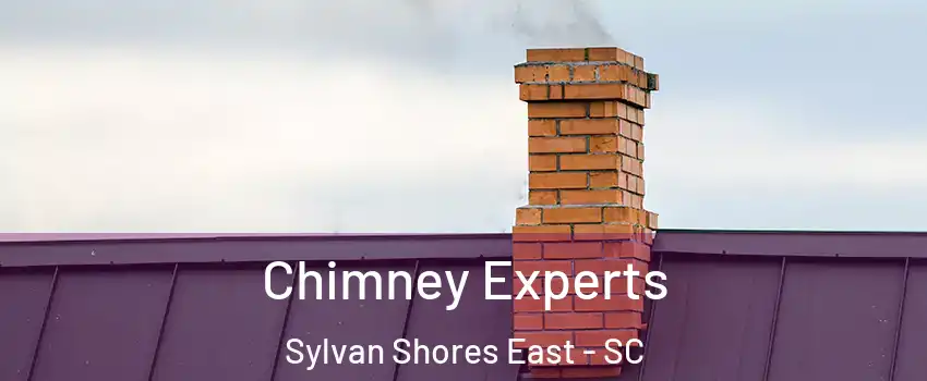 Chimney Experts Sylvan Shores East - SC