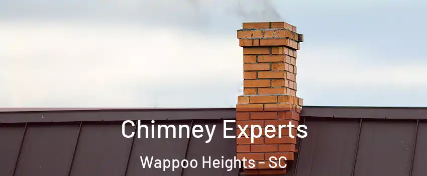 Chimney Experts Wappoo Heights - SC