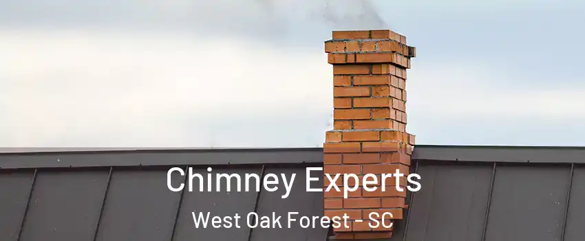 Chimney Experts West Oak Forest - SC