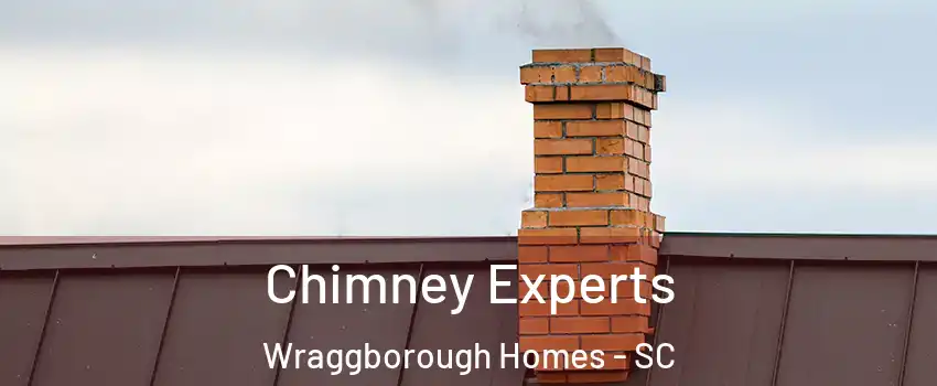 Chimney Experts Wraggborough Homes - SC