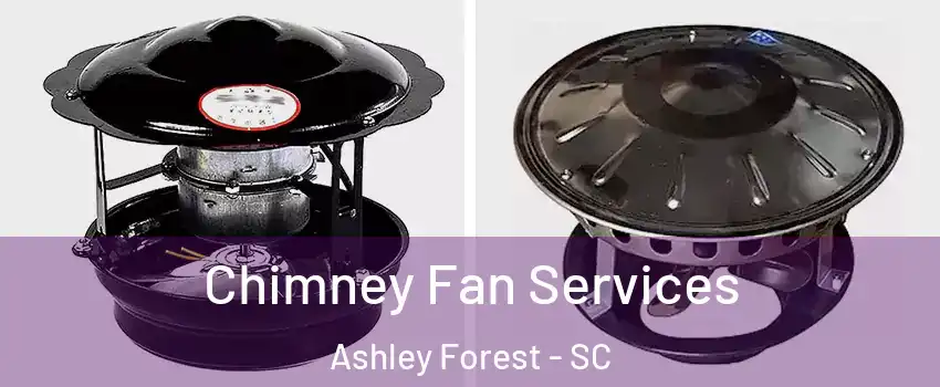 Chimney Fan Services Ashley Forest - SC