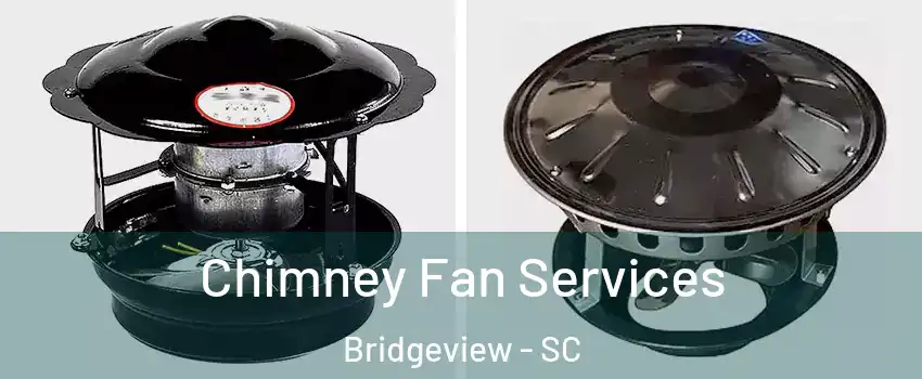 Chimney Fan Services Bridgeview - SC