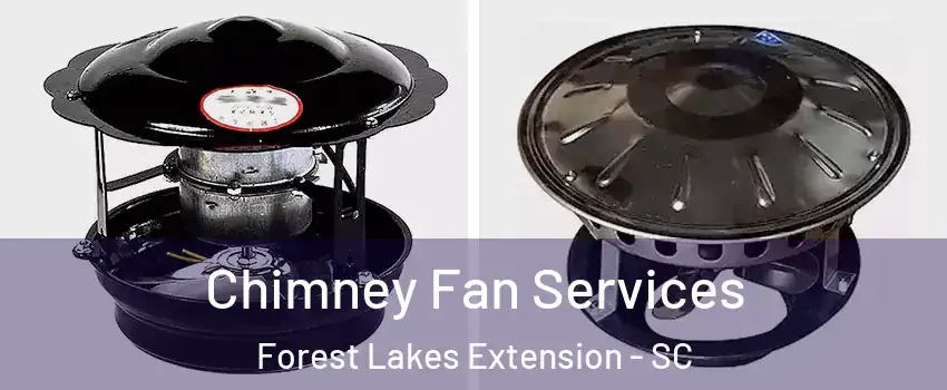 Chimney Fan Services Forest Lakes Extension - SC